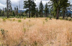 40111 SE Fairview St, Outside City Limits, OR 97360