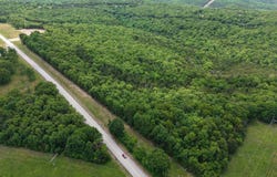 11A Hwy 177 S, Calico Rock, AR 72519