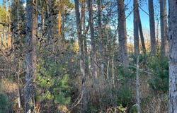 State Hwy 23 S, Sandstone, MN 55072