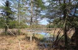 0 Moose River Rd, Port Leyden, NY 13433