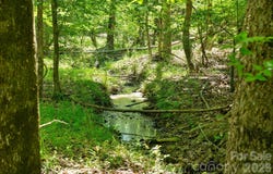 Cool Branch Road, Carlisle, SC 29706