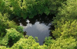 148 Butler Drive, Braxton, MS 39044