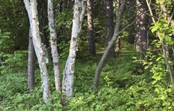 Lot 14 Summit View, Ironwood, MI 49938
