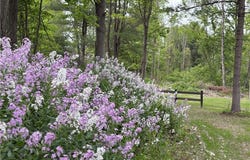 1229b Middle Road, Veteran, NY 14845