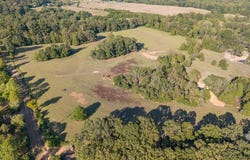 County Road 313, OXFORD, MS 38655