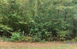 Salem Road, Benton, AR 72019