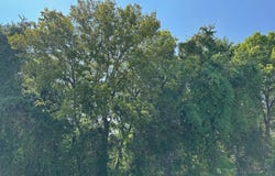 Owen Road, Nixa, MO 65714