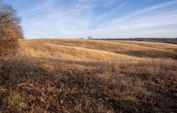 TBD 555th Trail, Melrose, IA 52569
