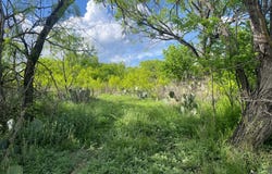 411 Front St lot: 3,5,, Menard, TX 76859
