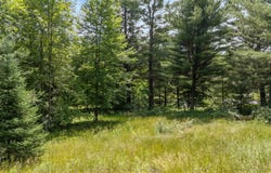 N1464 S BRANCH Path, KESHENA, WI 54135