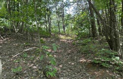 000 Hwy 110 Highway, Clinton, AR 72031