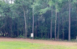 0000 Wallace Lake Rd, Pace, FL 32571