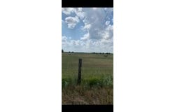 4601 CR 15200, Pattonville, TX 75468