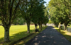 3765 Mount Pleasant Road NE, Dalton, GA 30721