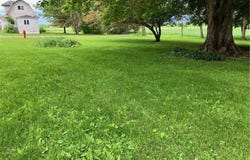 358 Cypress Avenue, New Richland, MN 56072