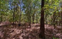 Dee Smith Road, Westville, OK 74965
