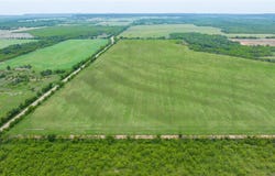 Tbd 22 Acres County Road 144, Ovalo, TX 79541