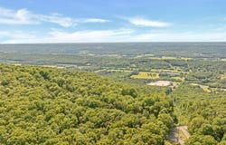 Tract 1 Scenic Highway Lot 2, Mentone, AL 35984