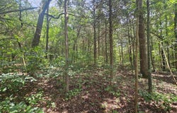 Cherokee Village, AR 72529