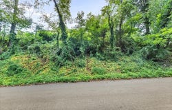 16th St NE, Roanoke, VA 24012