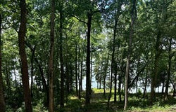 148 Arrowhead Lane, Fort Gaines, GA 39851