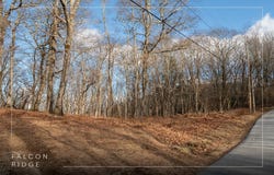 Tower Road lot: 51, Sapphire, NC 28774