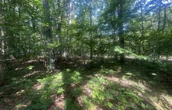 Lot#179 Mockingbird Circle, Farwell, MI 48622