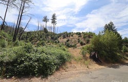 11231 Anderson Springs Road, Middletown, CA 95461