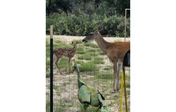 36 Ralls Road, Spur, TX 79370