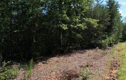 Flagpole Circle, Ellijay, GA 30540