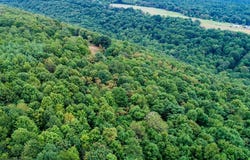 12305 BARBERS HILL ROAD, FROSTBURG, MD 21532