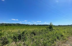 0 N Kings Highway, Sumter, SC 29154