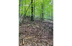 35 Meridian Lane, Hillsville, VA 24333