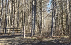 190 Clute Hill Rd Ext, Richford, NY 13835
