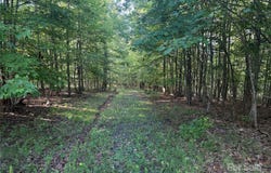 Lot 332 Scenic Vista Drive 332, Nebo, NC 28761