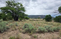 13 County Road 136A, Hernandez, NM 87537