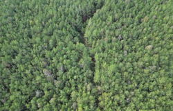 Red Water Road, Carthage, MS 39051