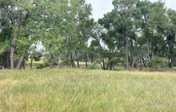 47561 Private Rd 30, Limon, CO 80828