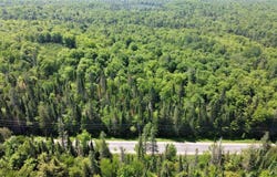 on W Shingleton Road, Shingleton, MI 49884