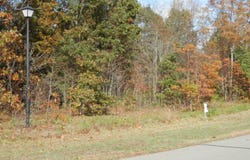 8 Harlan Drive, Watervliet, MI 49098