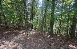 Lot 91 NE Muslin, Ranger, GA 30734