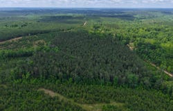 0 Pusley Ridge Road, Highland Home, AL 36041
