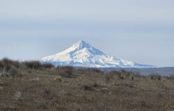 Quail Rd, Goldendale, WA 98620