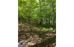 Lot 1 WALLACE STREET, WARSAW, VA 22572