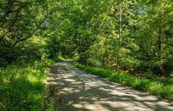 1214 RIDGELEY ROAD, WOODSTOCK, VA 22664