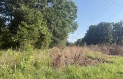 TRACTS 1-4 CARROLL HOLLOW Rd lot: 1,2,3,4, Waynesboro, TN 38485