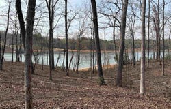 133 Falling Leaf Drive, Townville, SC 29689