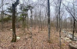 Lot 76 Mustang Drive, Clinton, AR 72031