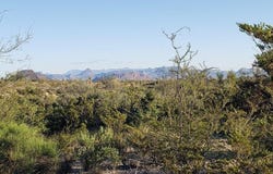 220 Warnock Rd, Terlingua, TX 79852