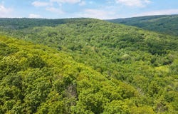 L1 Lassen Road, Broome, NY 12122